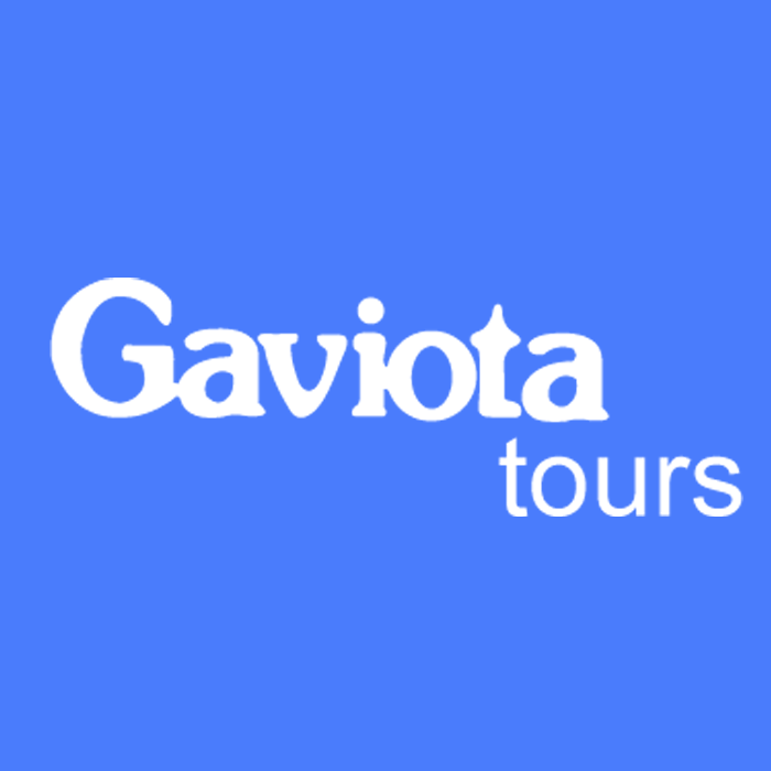gaviota travel agency